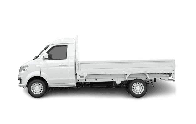 Shineray T30 Single Cabin (2)